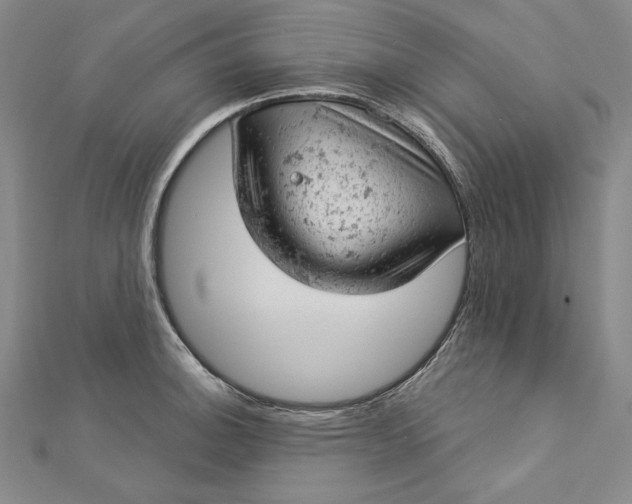 X0000112781140200909031624