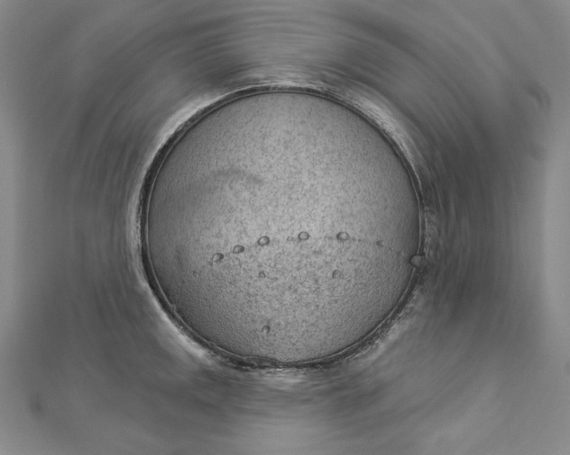 X0000112781141200909031624