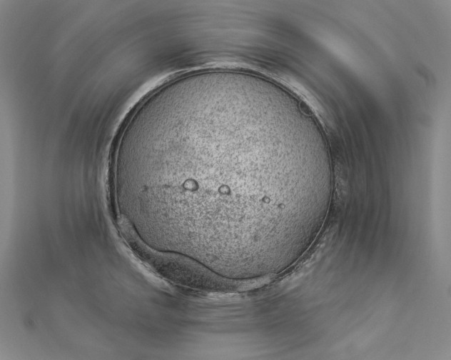 X0000112781142200909031624