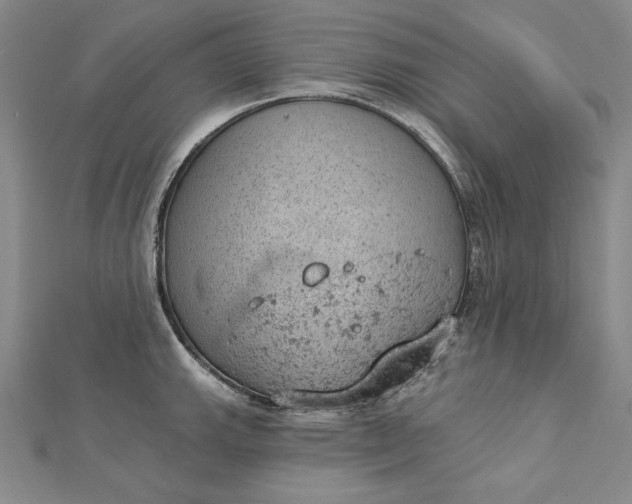 X0000112781143200909031624