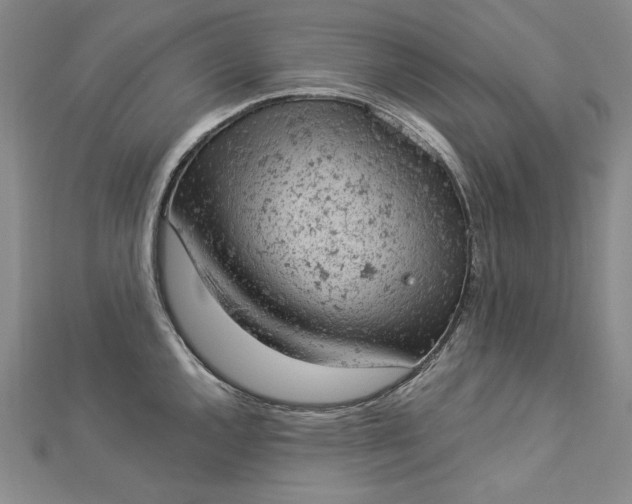 X0000112781144200909031624