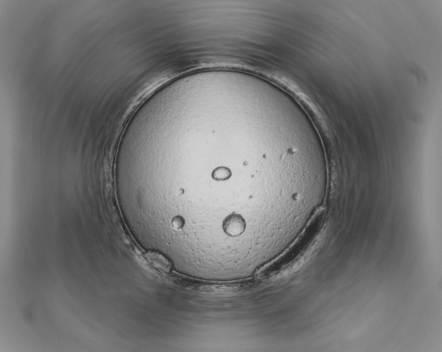 X0000112781145200909031624