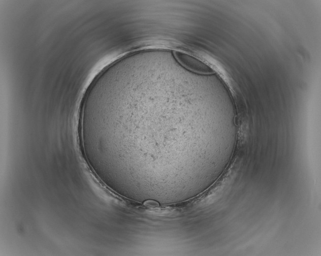 X0000112781146200909031624