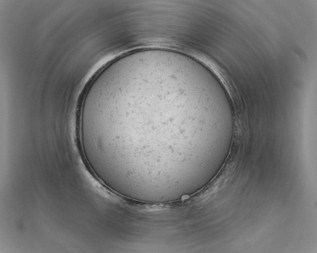 X0000112781147200909031624