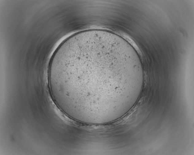 X0000112781148200909031624