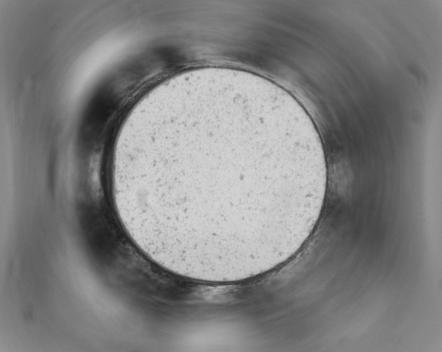 X0000112781150200909031624