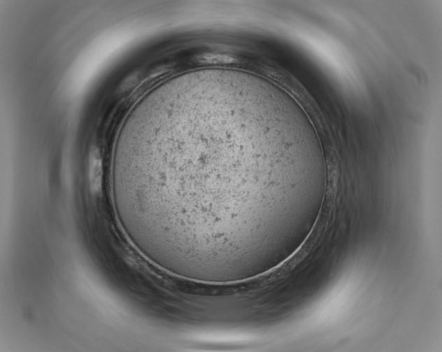 X0000112781151200909031624