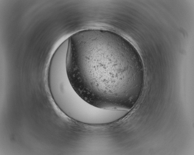 X0000112781152200909031624