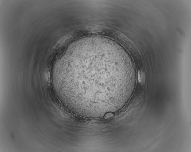 X0000112781155200909031624