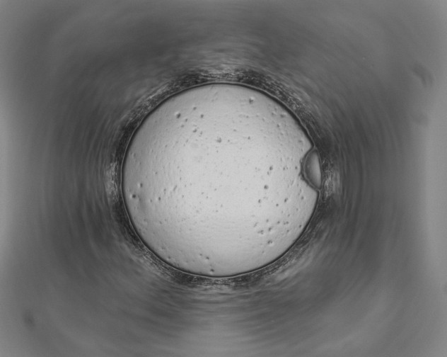 X0000112781156200909031624