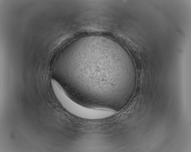 X0000112781157200909031624