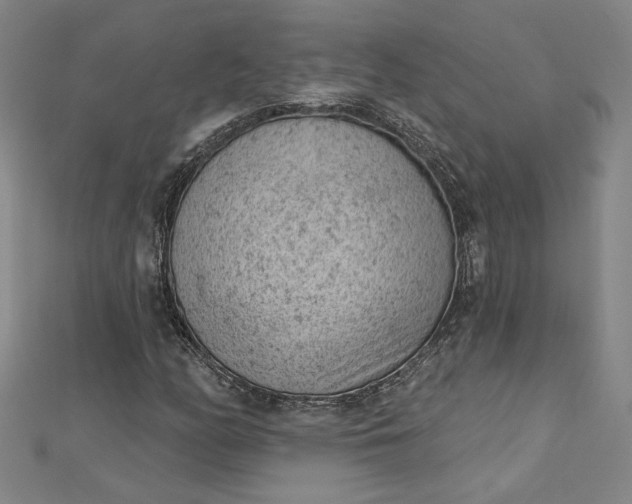 X0000112781158200909031624