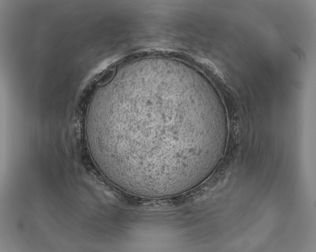 X0000112781159200909031624