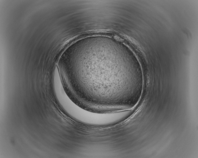 X0000112781161200909031624