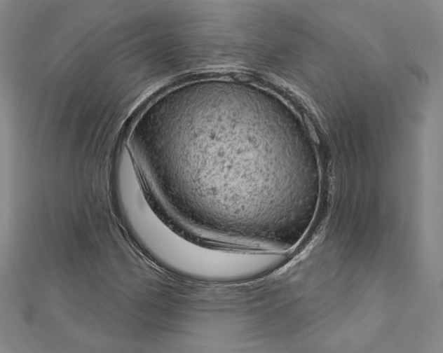 X0000112781162200909031624