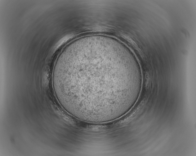 X0000112781163200909031623