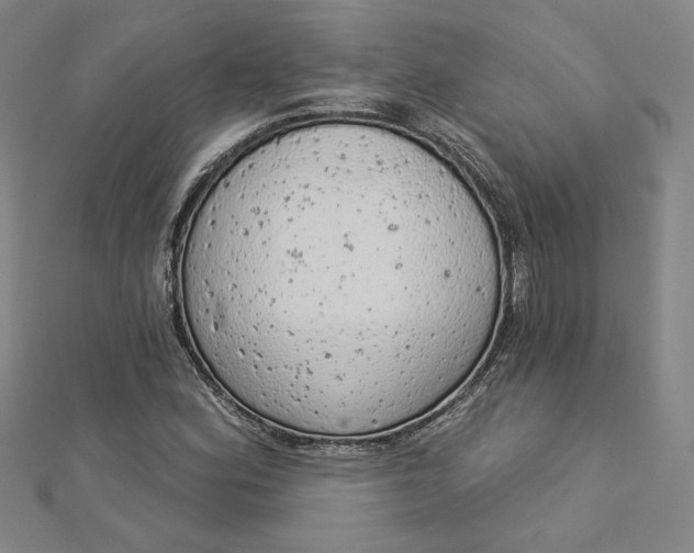 X0000112781164200909031623