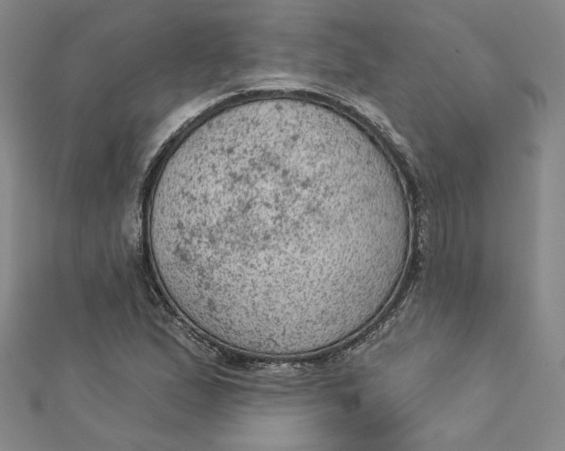 X0000112781167200909031623