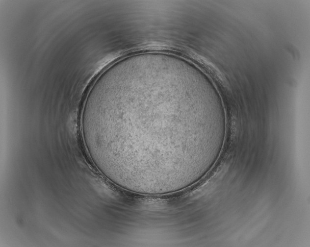 X0000112781170200909031623