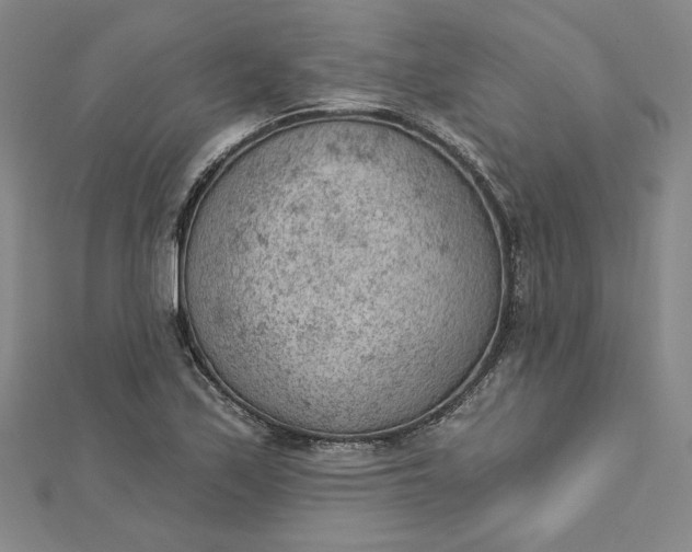 X0000112781171200909031623