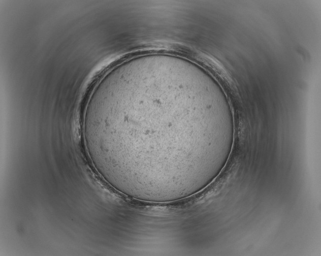 X0000112781172200909031623