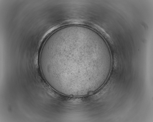 X0000112781174200909031623