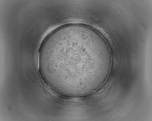 X0000112781175200909031623