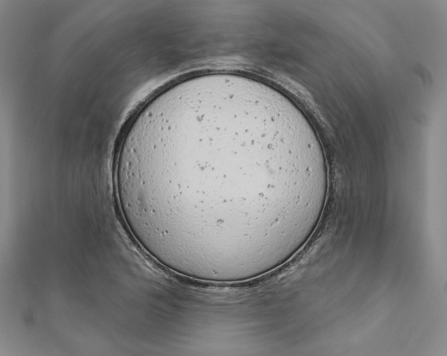 X0000112781176200909031623