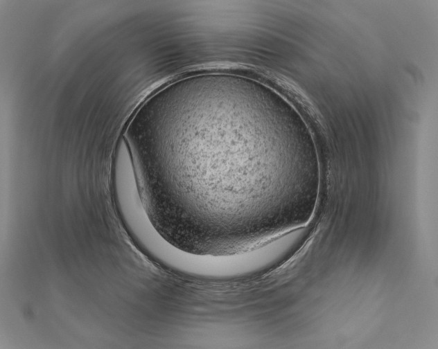 X0000112781177200909031623