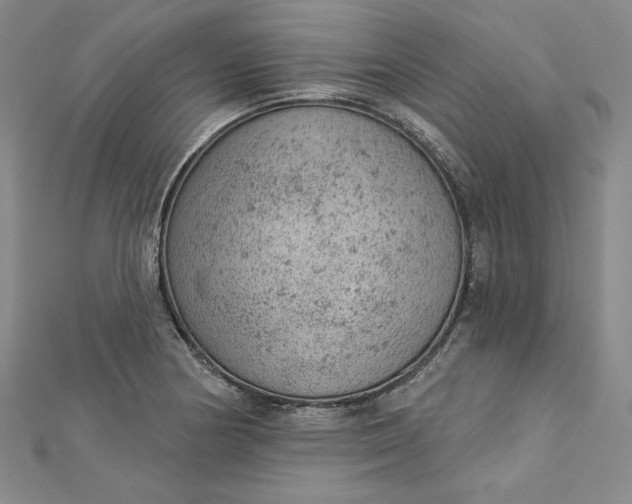 X0000112781178200909031623