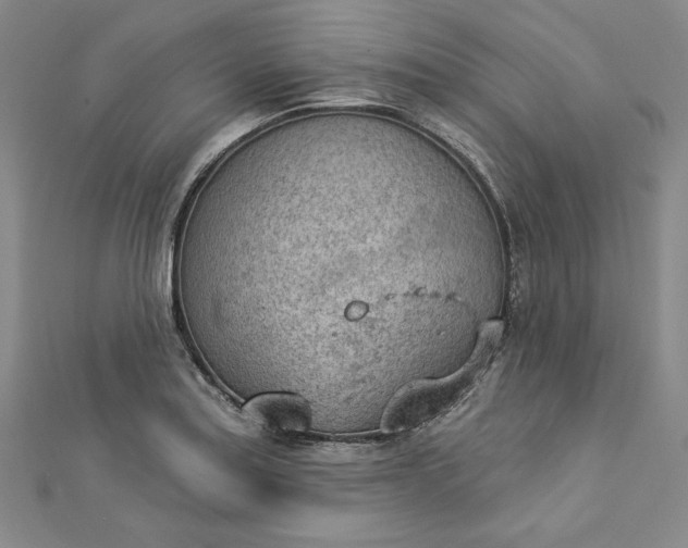 X0000112781179200909031623