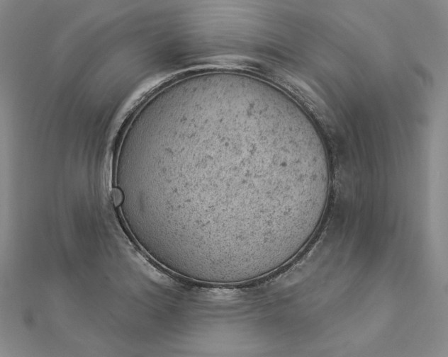 X0000112781180200909031623