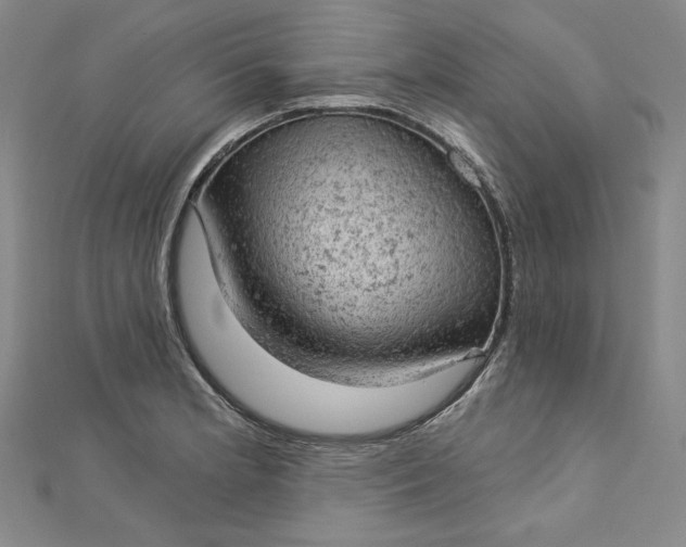 X0000112781181200909031623