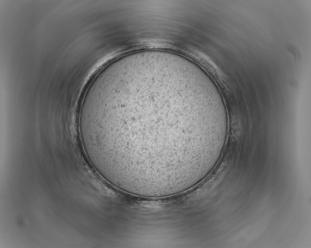 X0000112781182200909031623