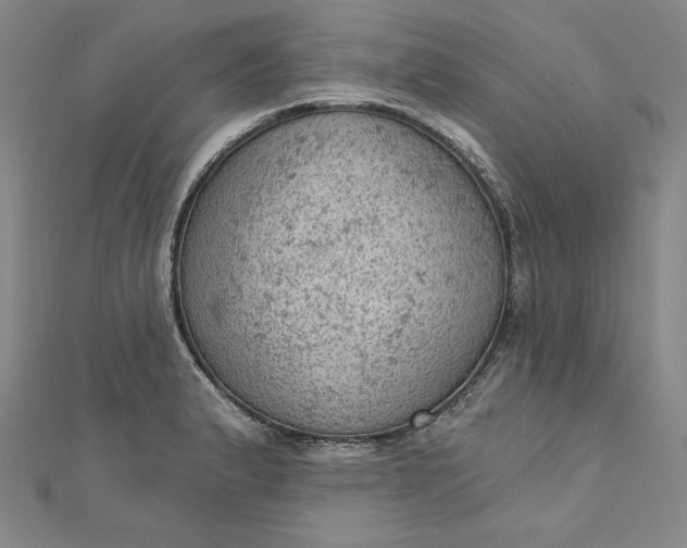 X0000112781183200909031623