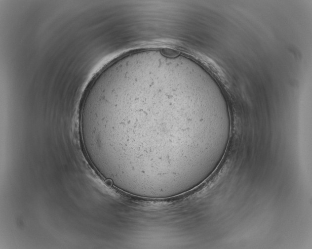 X0000112781184200909031623