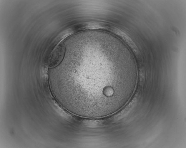 X0000112781185200909031623