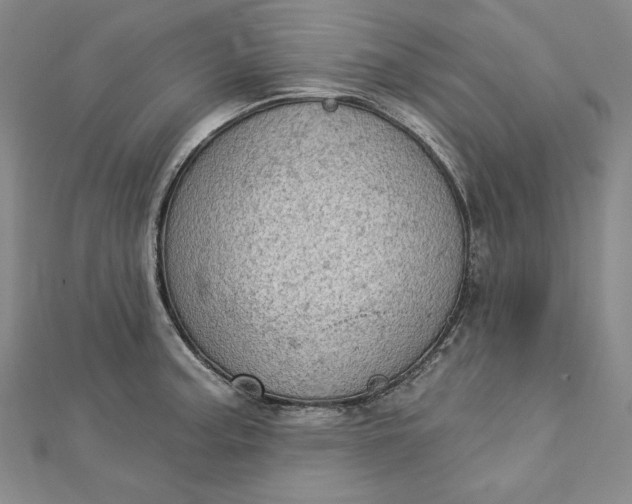 X0000112781187200909031623