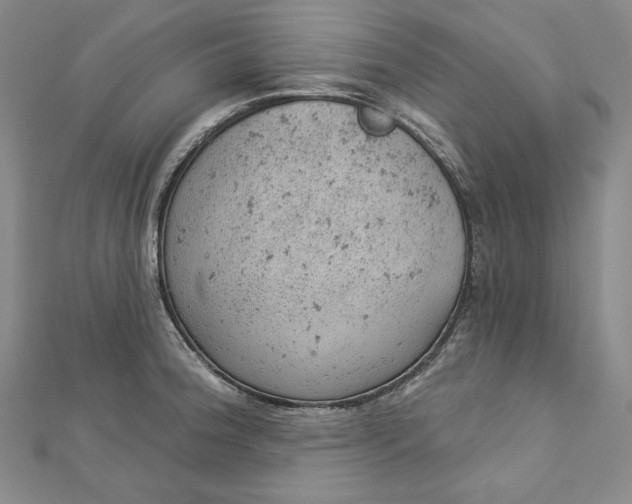 X0000112781188200909031623