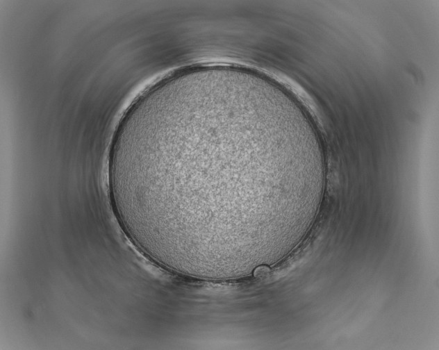 X0000112781191200909031623