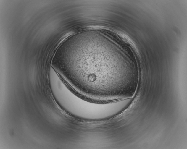 X0000112781193200909031623