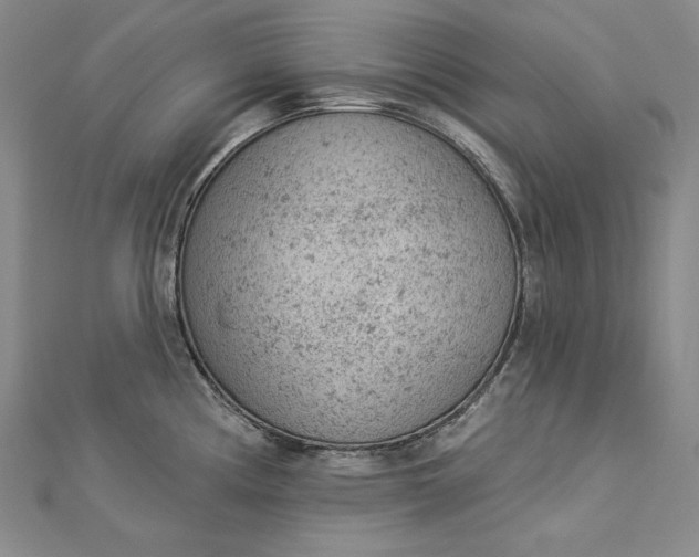 X0000112781194200909031623