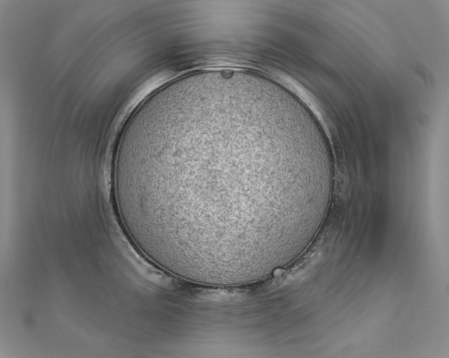 X0000112781195200909031623