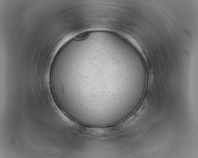 X0000112781197200909031623