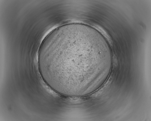 X0000112781198200909031623