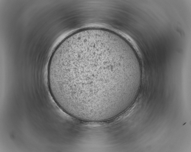 X0000112781199200909031623