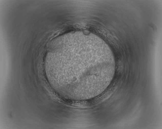 X0000112781201200909031623