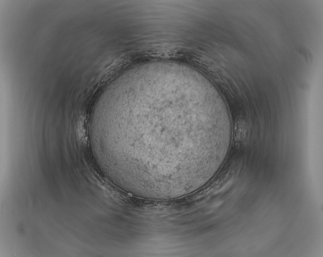 X0000112781202200909031623