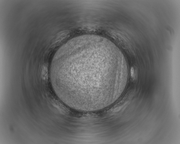 X0000112781203200909031623