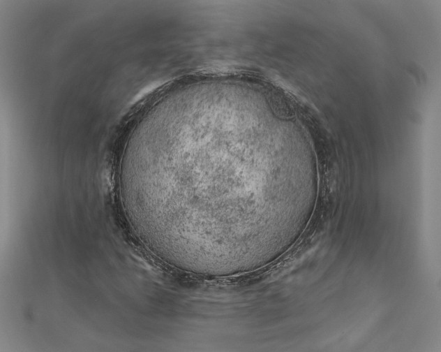 X0000112781206200909031623